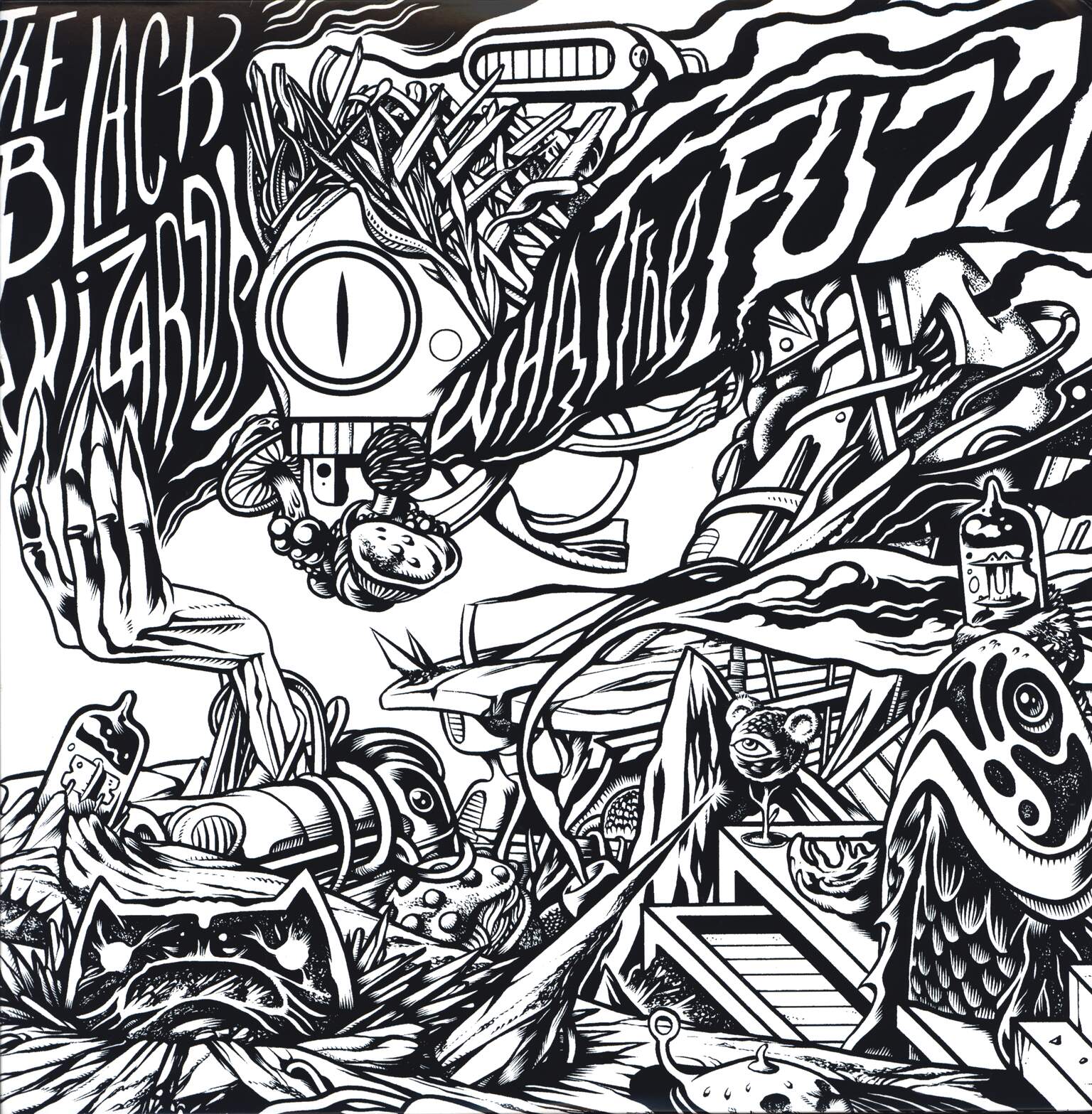 The Black Wizards: What The Fuzz!