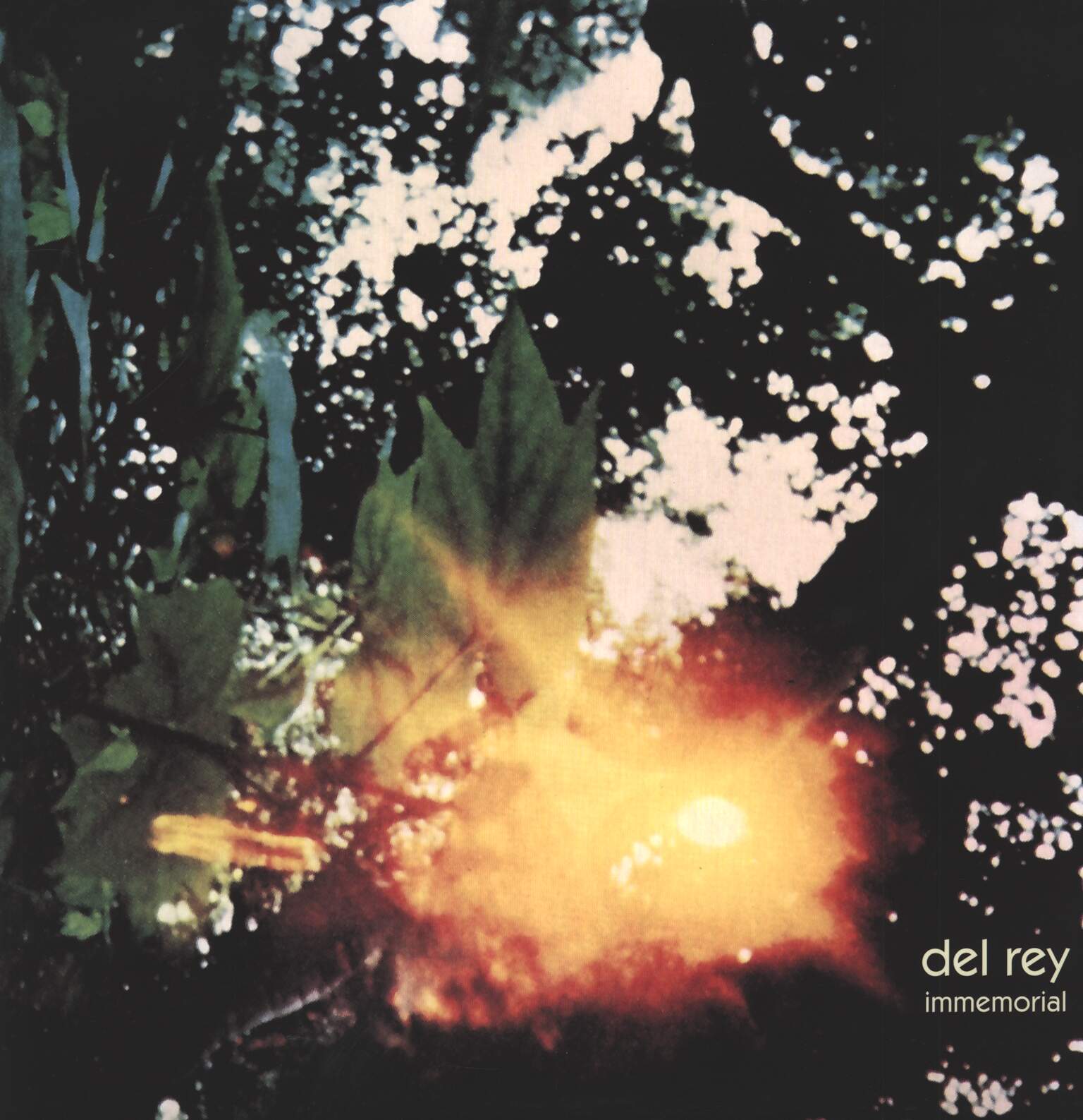 Del Rey: Immemorial