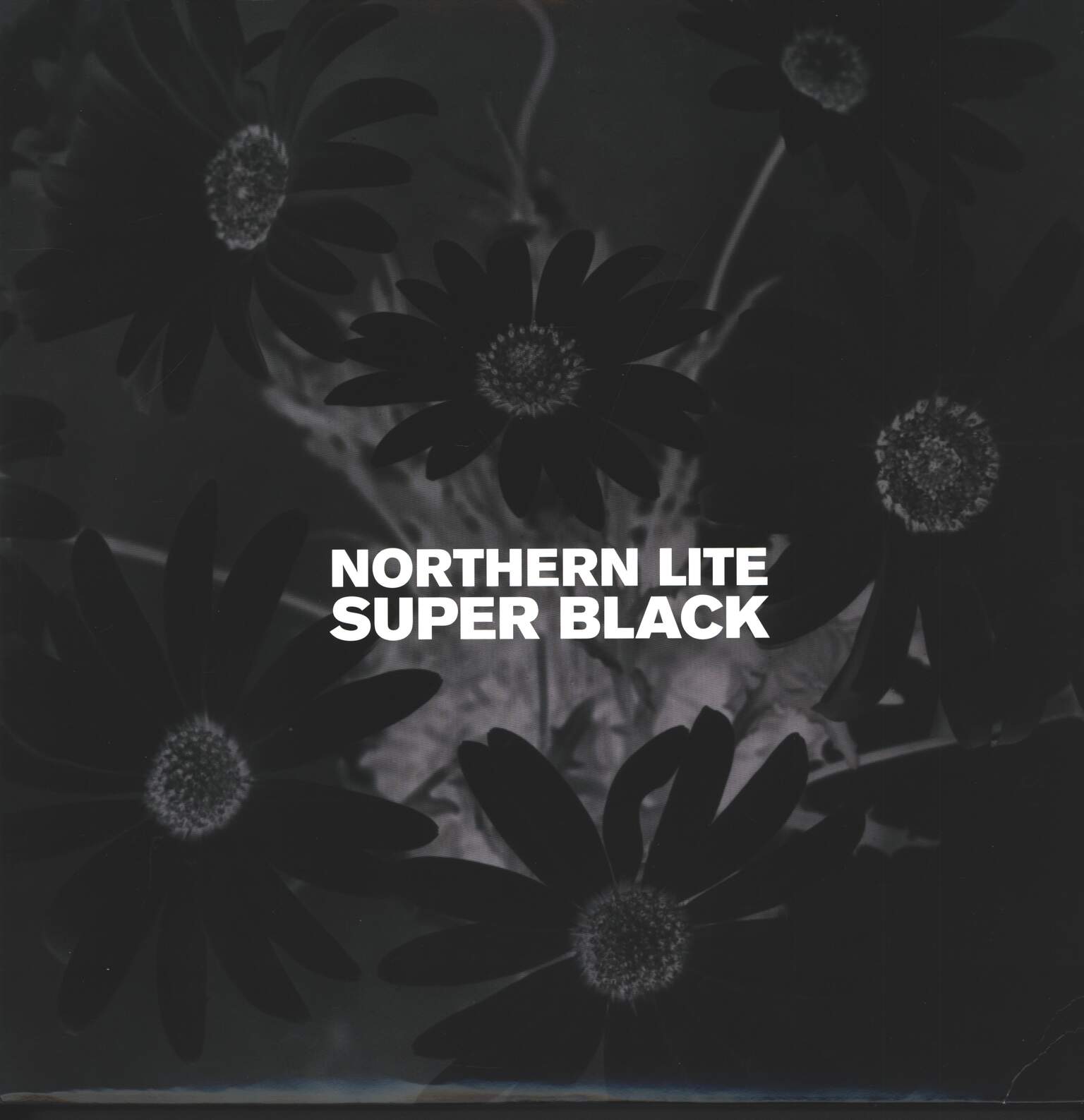 Northern Lite: Super Black