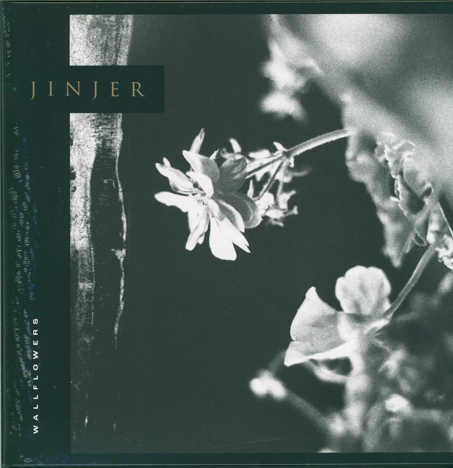 Jinjer: Wallflowers