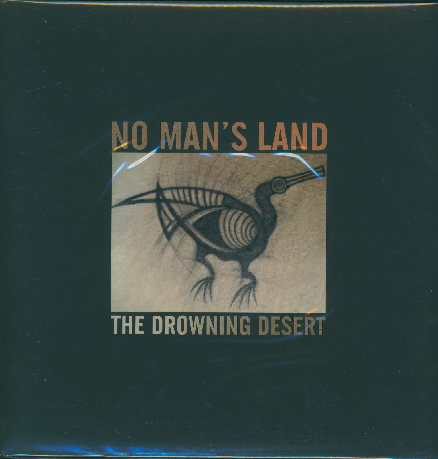 No Man's Land: The Drowning Desert