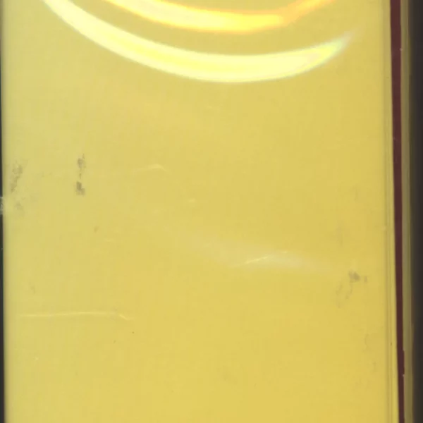 Bad Brains: Rock For Light