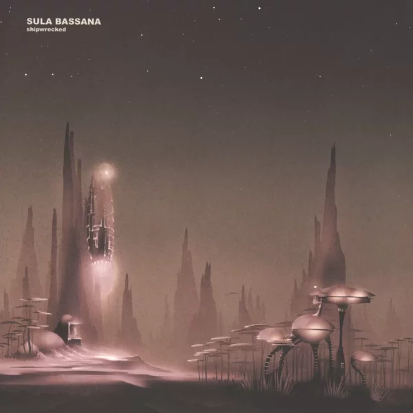 Sula Bassana: Shipwrecked