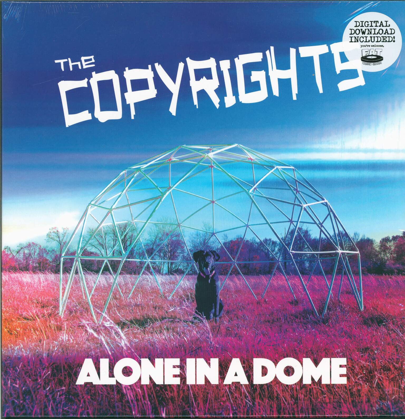 The Copyrights: Alone In A Dome