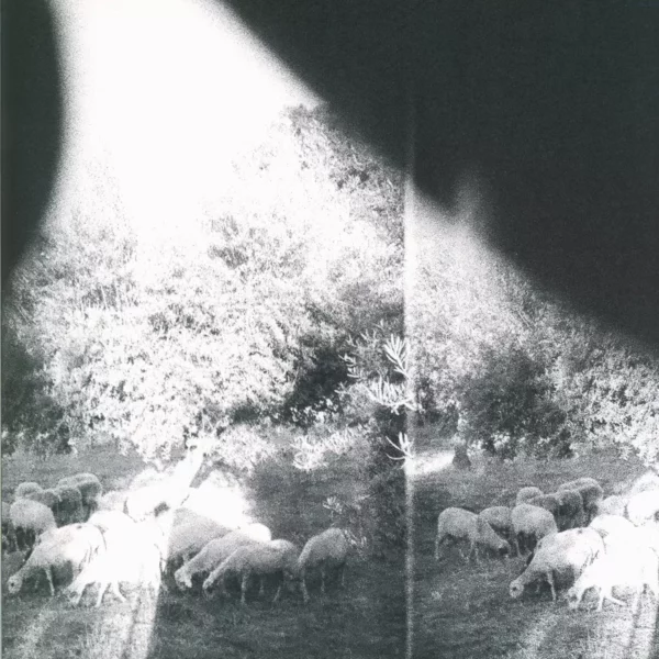 Godspeed You Black Emperor: Asunder, Sweet And Other Distress