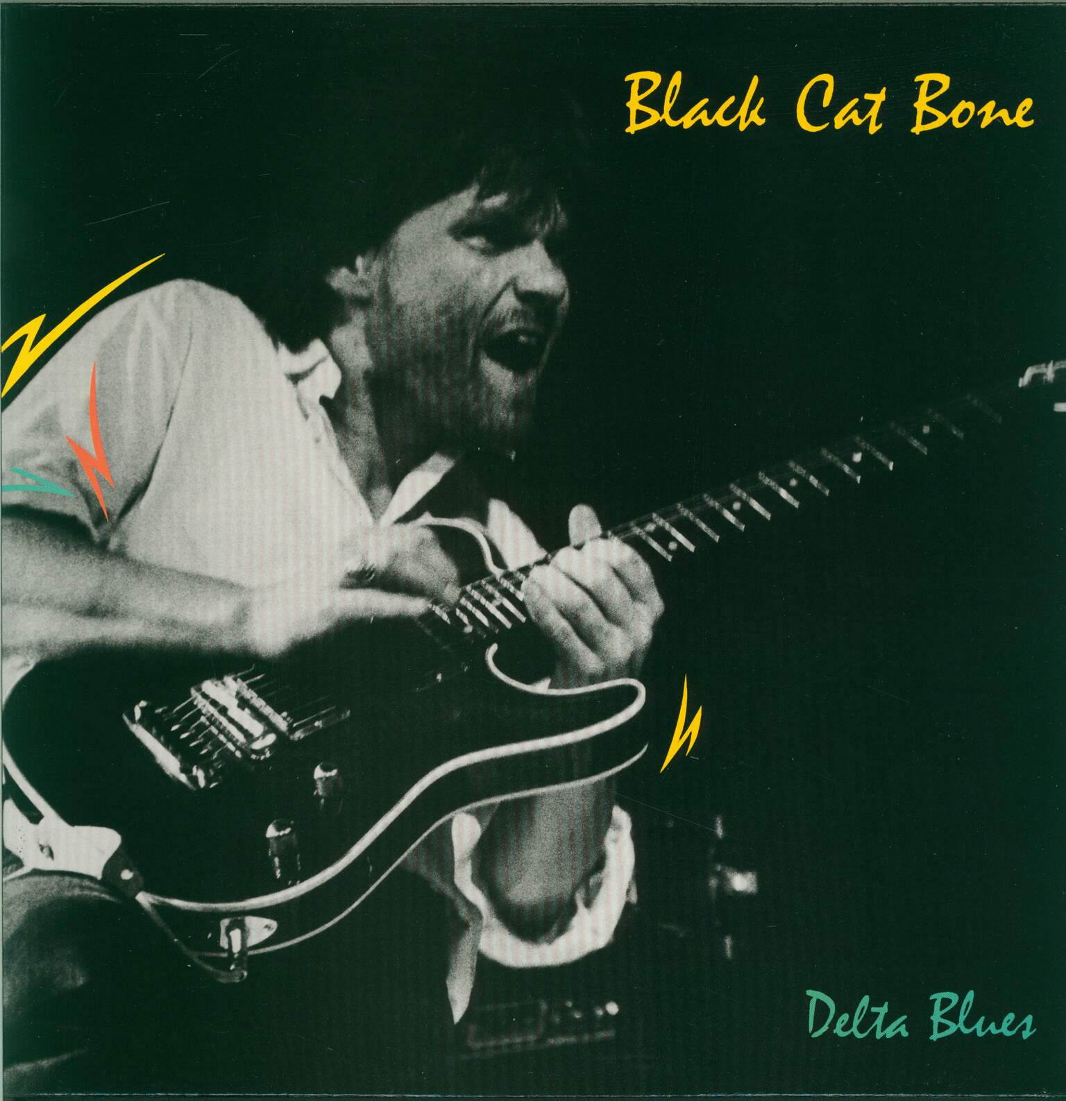 Black Cat Bone: Delta Blues