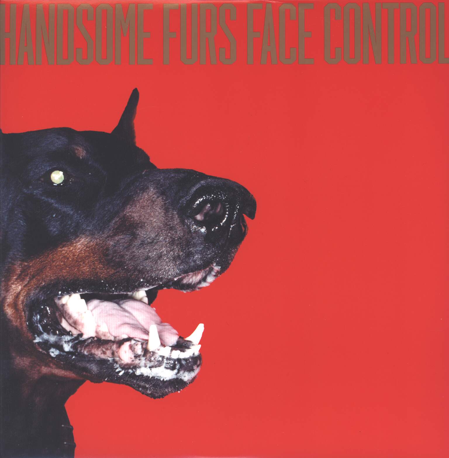 Handsome Furs: Face Control