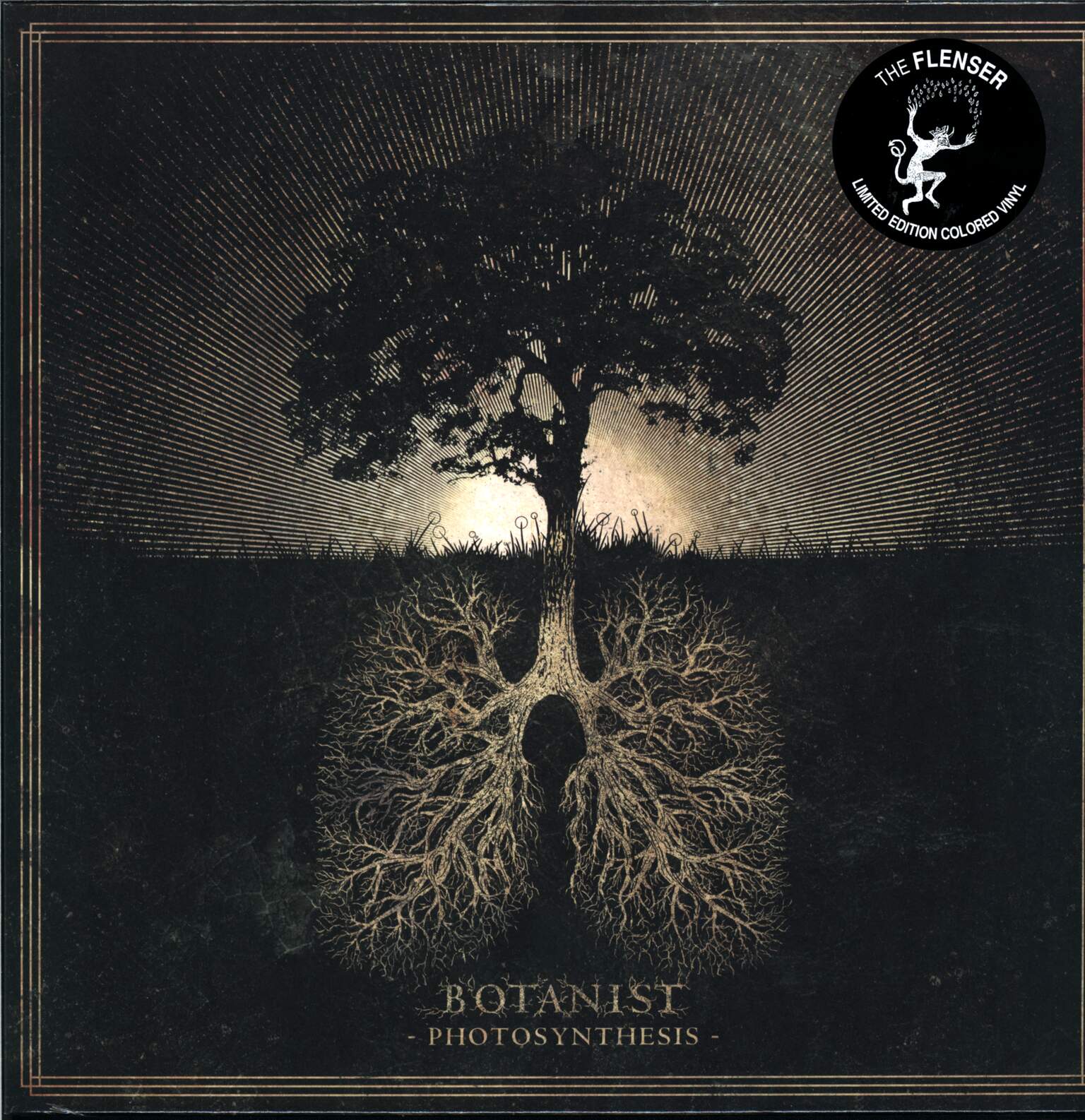 Botanist: Photosynthesis