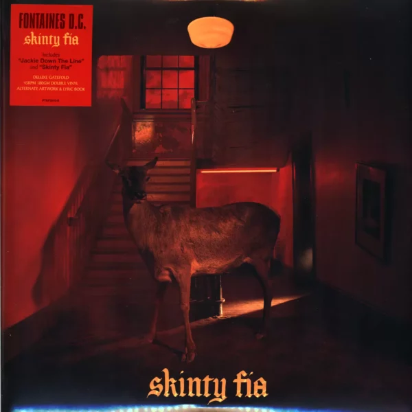 Fontaines D.C.: Skinty Fia