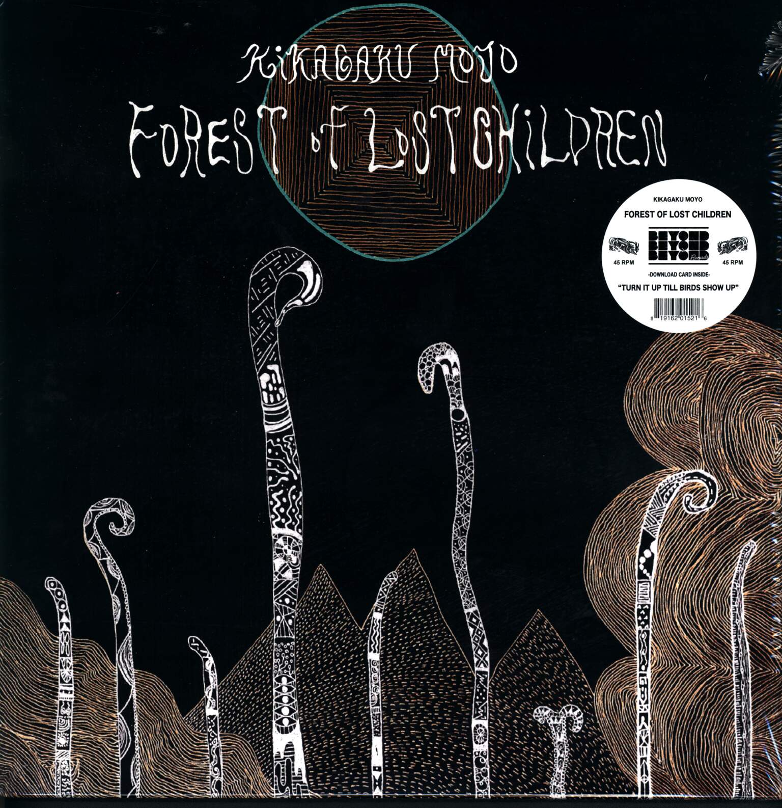Kikagaku Moyo: Forest Of Lost Children
