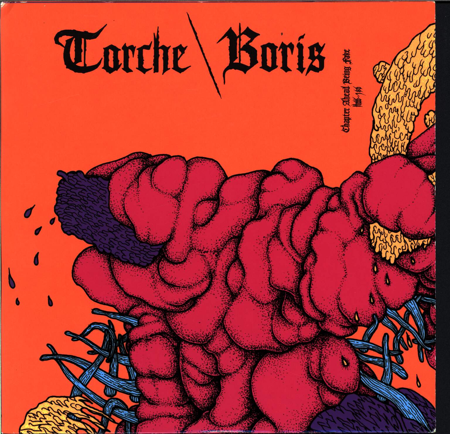 Torche / Boris: Chapter Ahead Being Fake