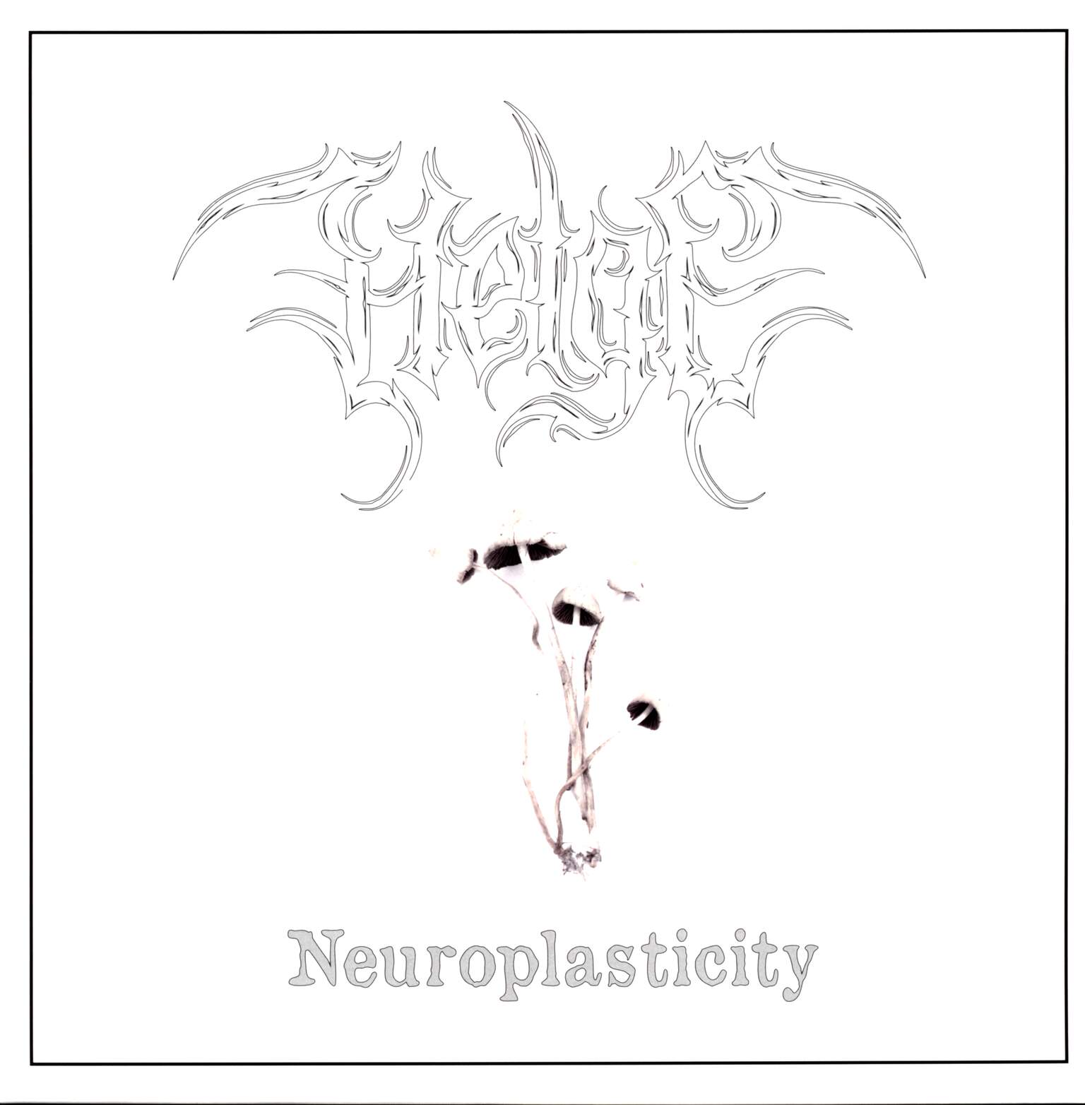 Helge: Neuroplasticity