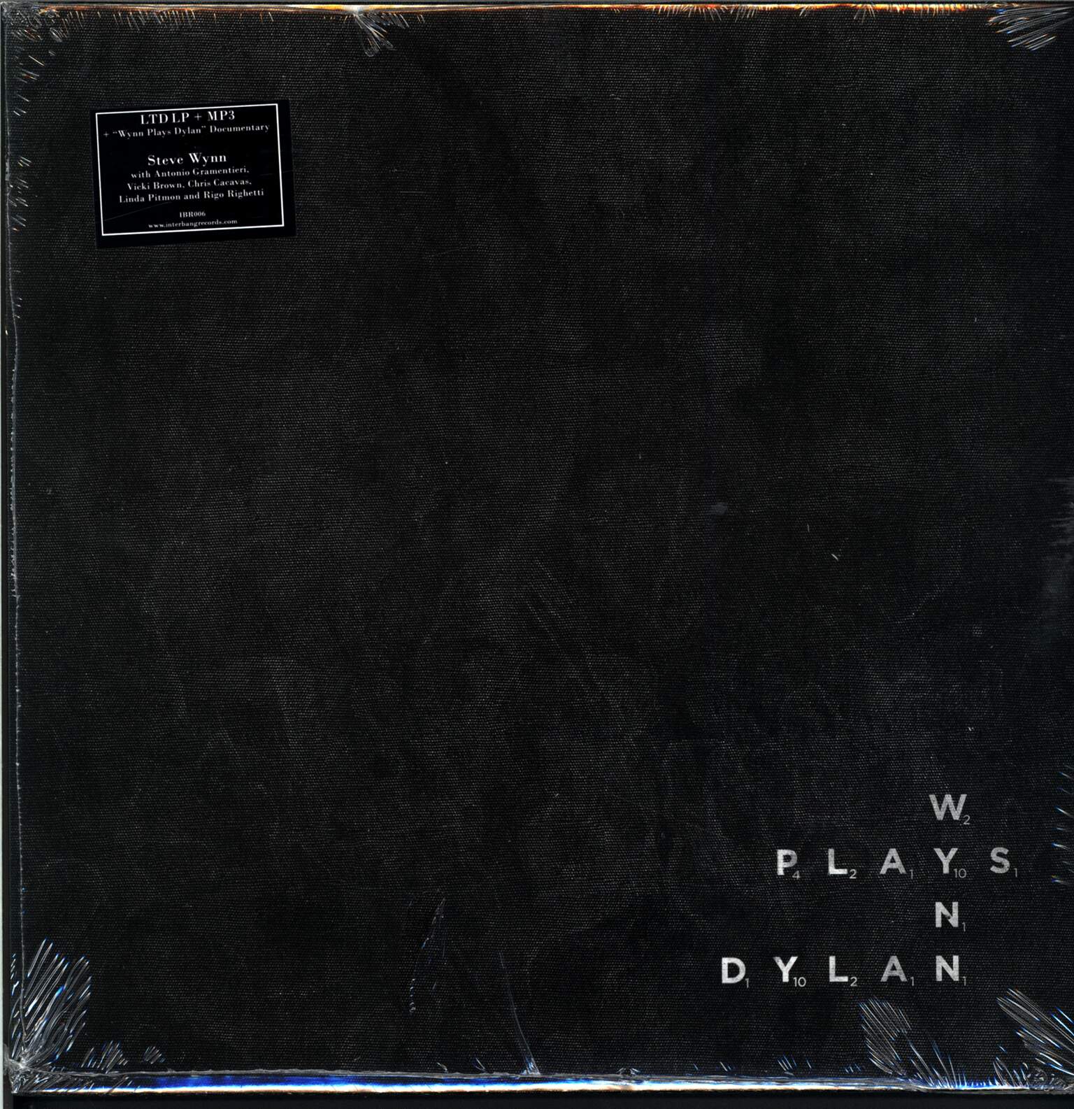Steve Wynn: Wynn Plays Dylan