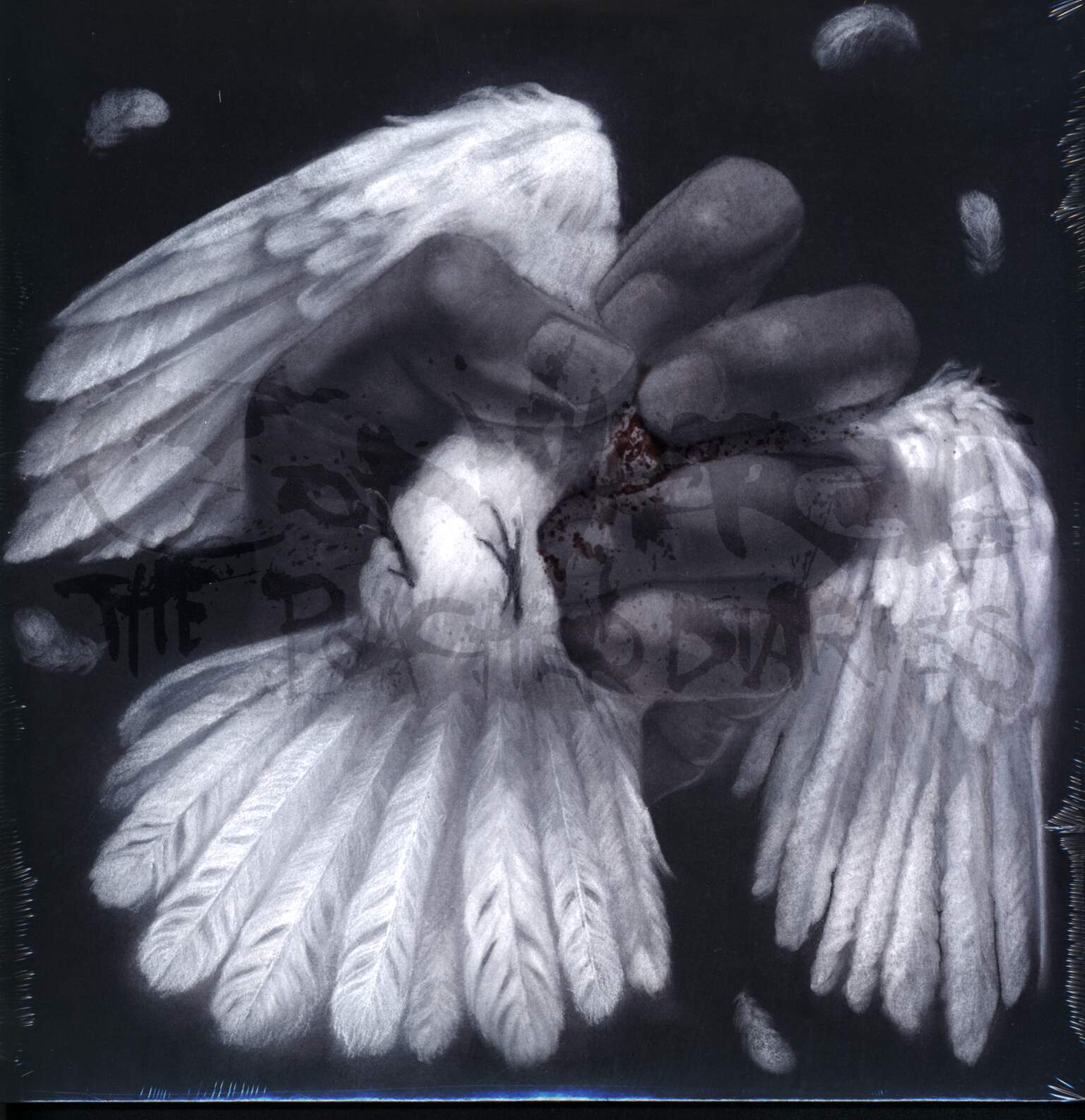 Converge: The Poacher Diaries