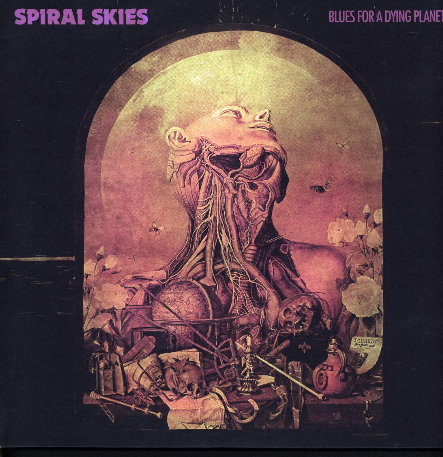 Spiral Skies: Blues For A Dying Planet