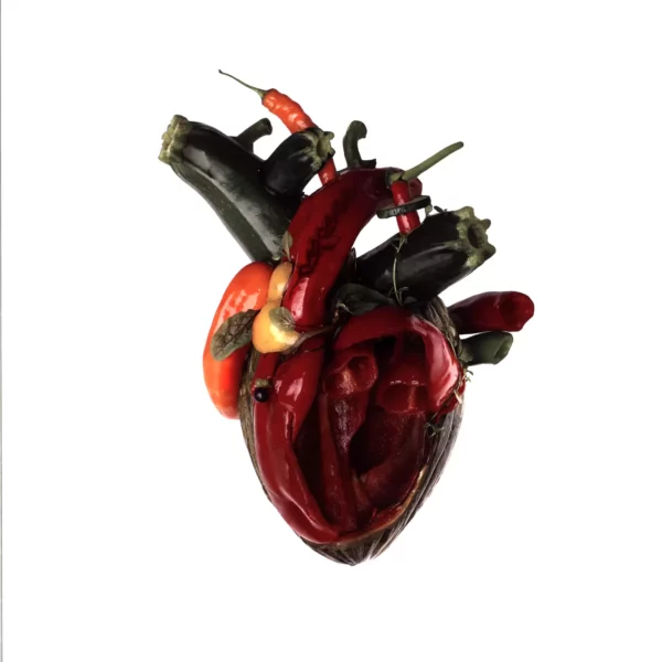 Carcass: Torn Arteries