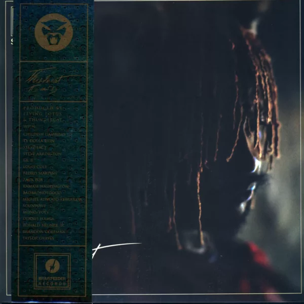 Thundercat: It Is What It Is