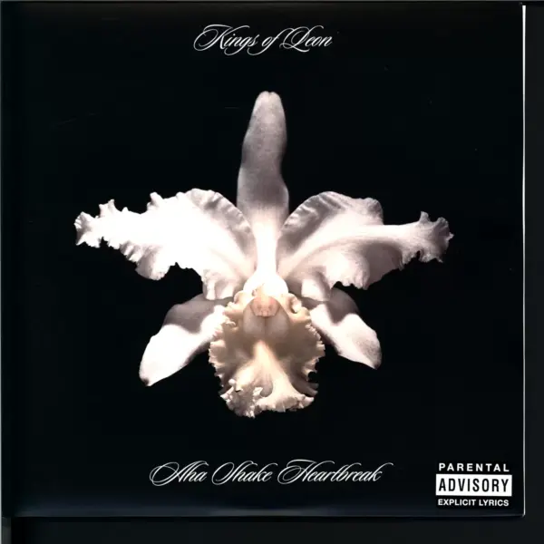 Kings Of Leon: Aha Shake Heartbreak