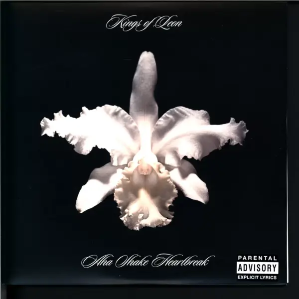 Kings Of Leon: Aha Shake Heartbreak