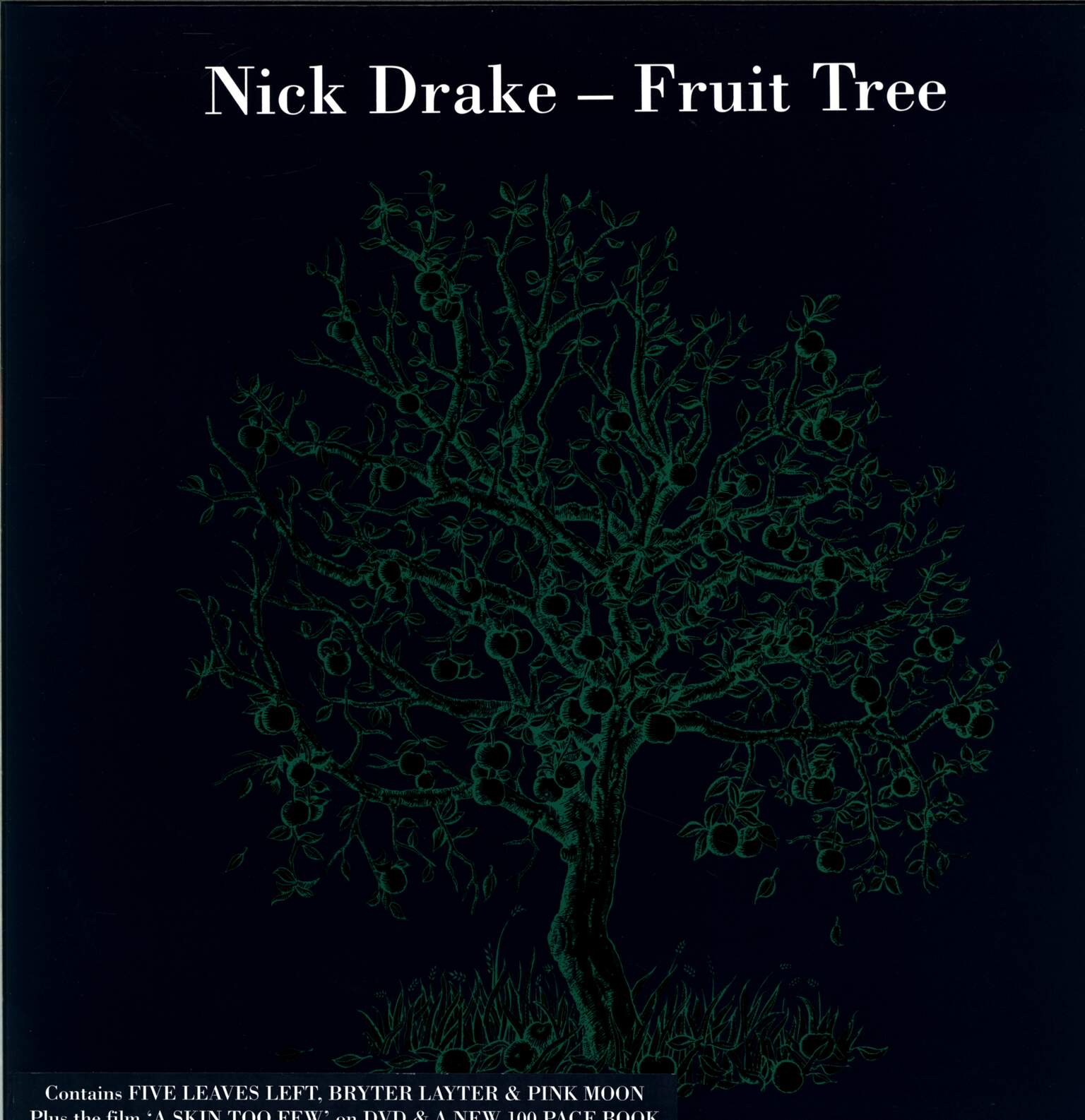 Nick Drake: Fruit Tree
