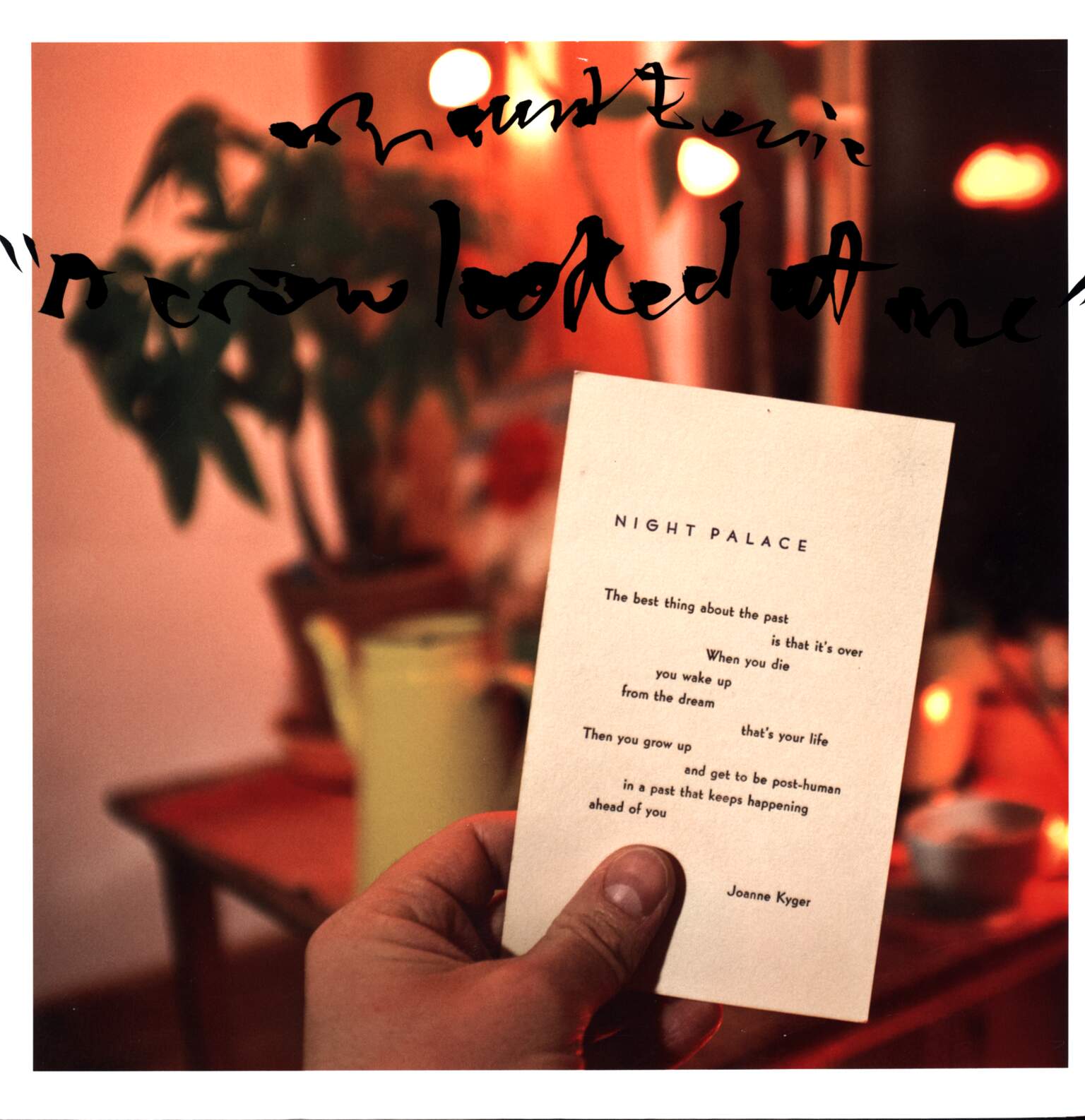 Mount Eerie: A Crow Looked At Me