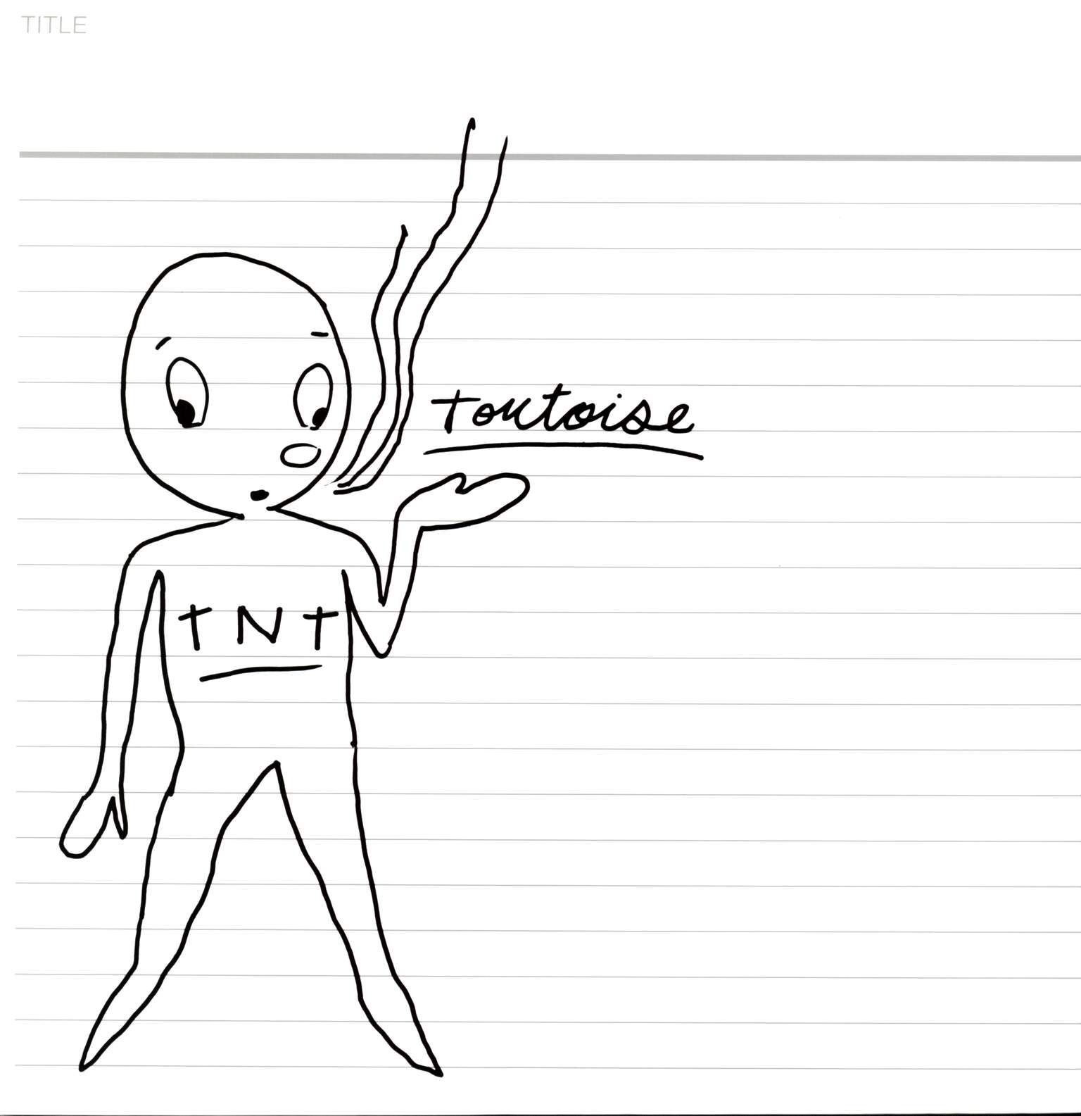 Tortoise: TNT