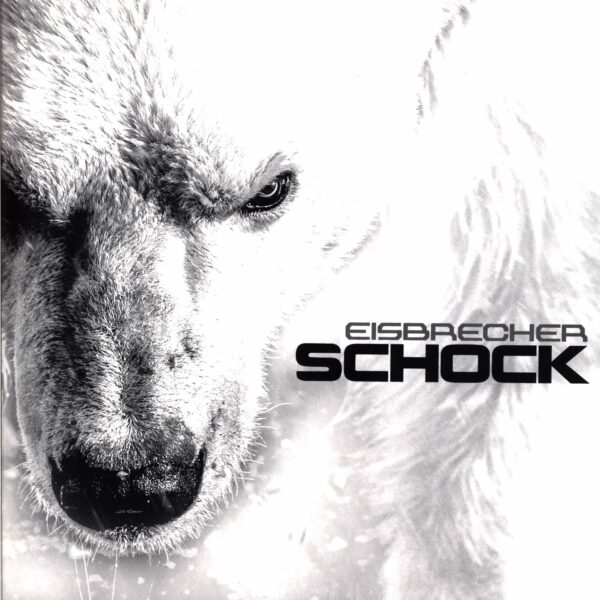 Eisbrecher: Schock