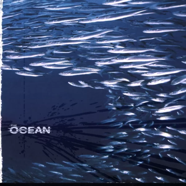 The Ocean: Fluxion