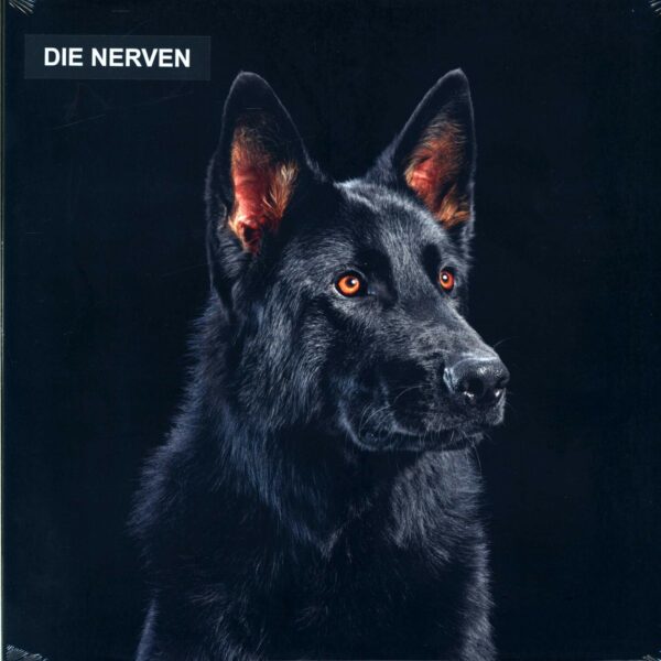 Die Nerven: Die Nerven